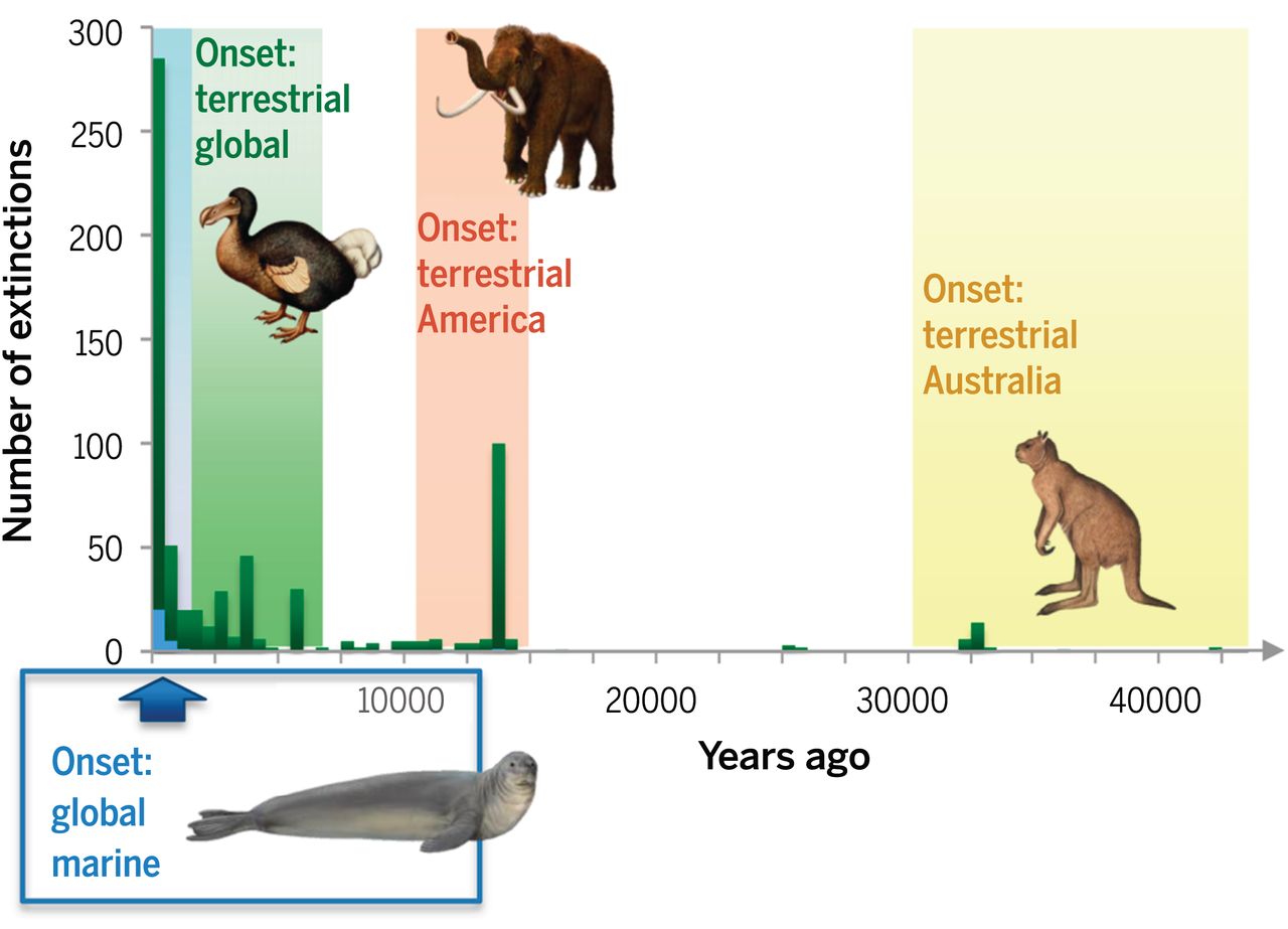 Extinction Chronology