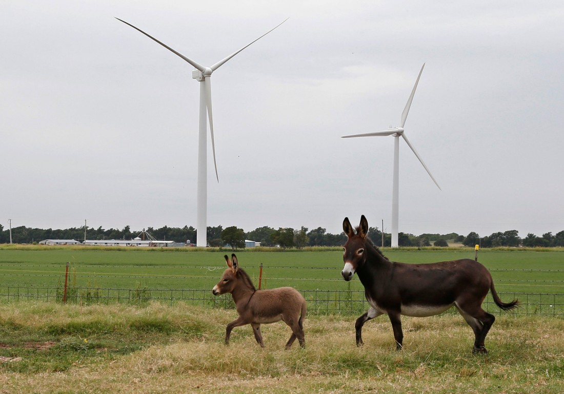 Wind Turbines and Donkeys