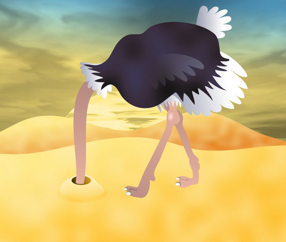 clip art of ostrich burying head in sand