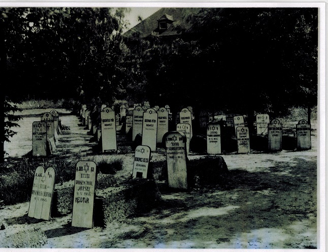 Hillersleben, Magdeburg, cemetery, Jewish, Holocaust, solar power