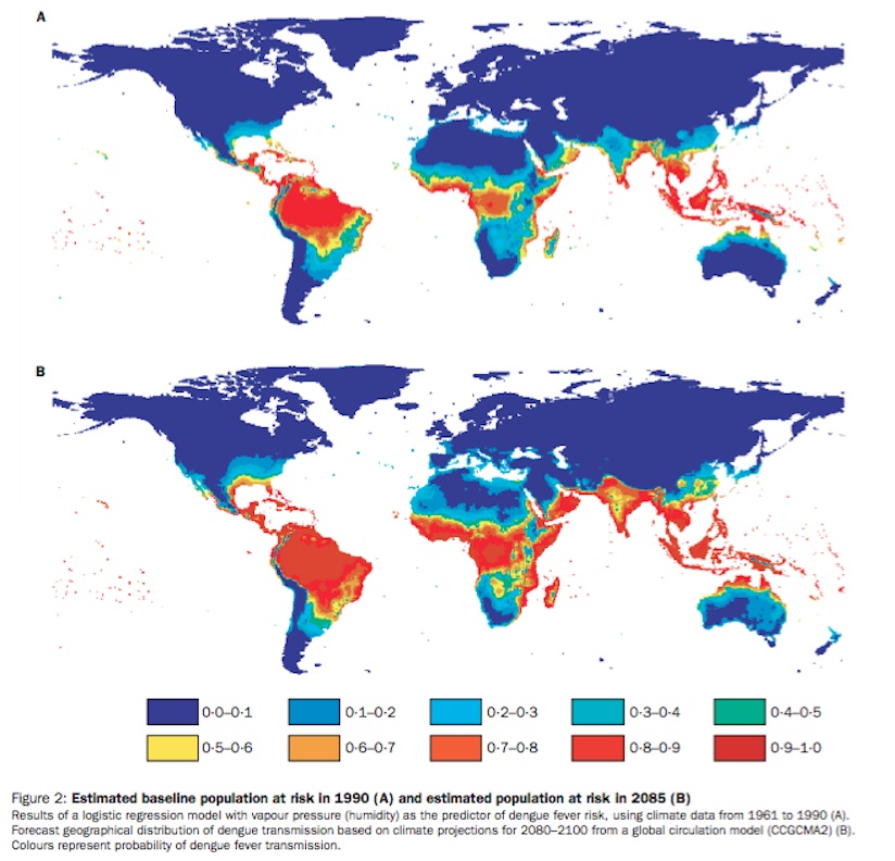 mosquitoes, dengue, global warming, spread, humidity, global warming, tropical disease