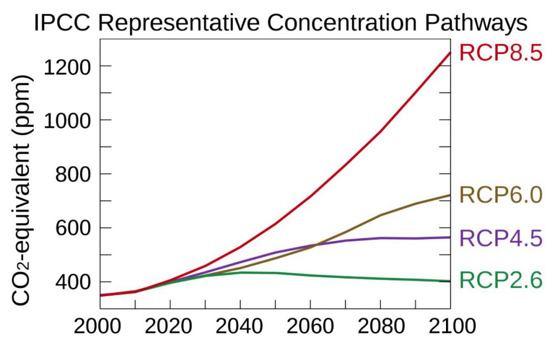 IPCC, future, RCP, CO2