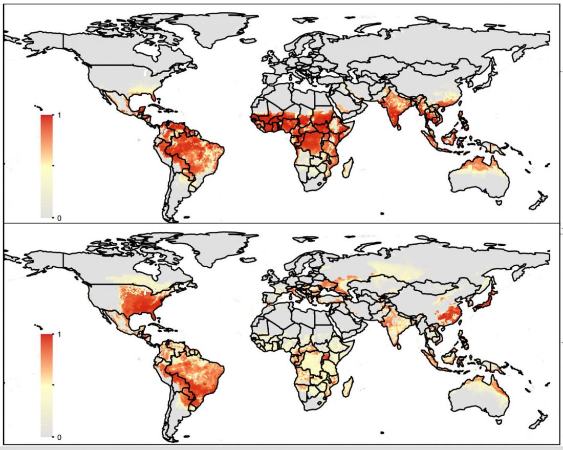 mosquitoes, disease, future, malaria, climate change, territory, spread