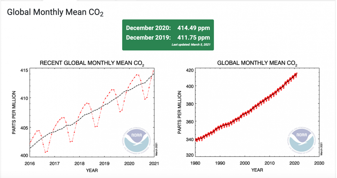 global monthly C02 emissions