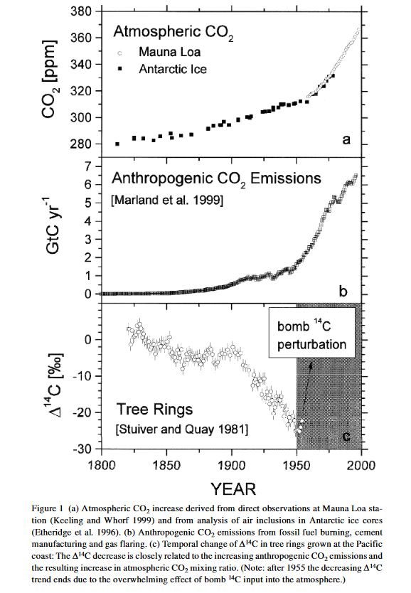 Graph of carbon emissions and carbon-14 atmospheric tracing in Mauna Loa, Antarctica, tree rings