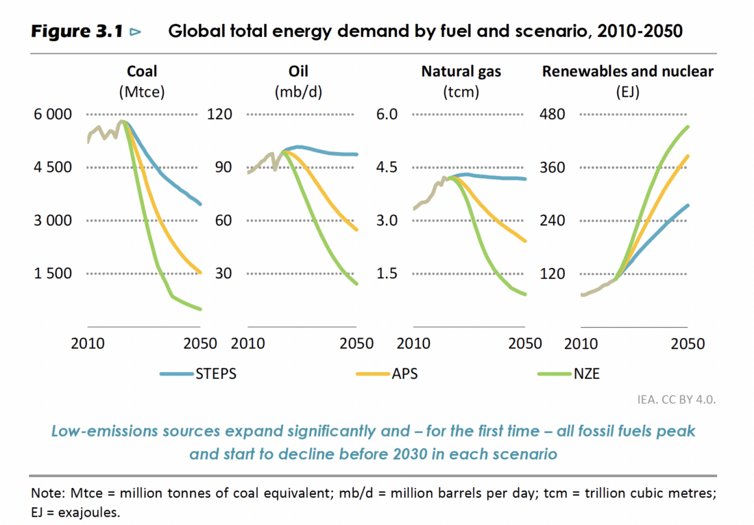 graphs comparing use of different fuels according to scenarios